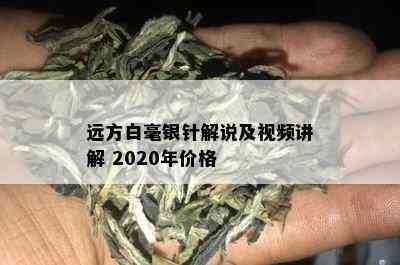 远方白毫银针解说及视频讲解 2020年价格