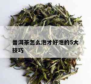 普洱茶怎么泡才好泡的5大技巧