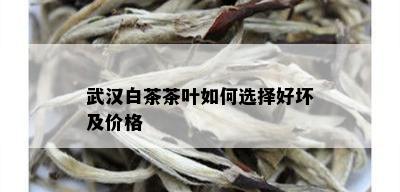 武汉白茶茶叶如何选择好坏及价格