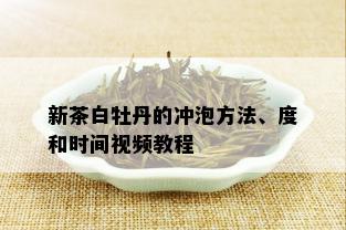 新茶白牡丹的冲泡方法、度和时间视频教程