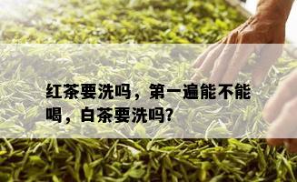 红茶要洗吗，之一遍能不能喝，白茶要洗吗？