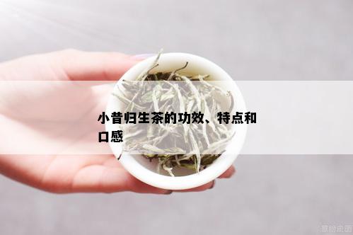 小昔归生茶的功效、特点和口感