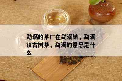 勐满的茶厂在勐满镇，勐满镇古树茶，勐满的意思是什么