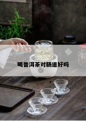 喝普洱茶对肠道好吗