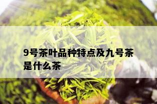 9号茶叶品种特点及九号茶是什么茶