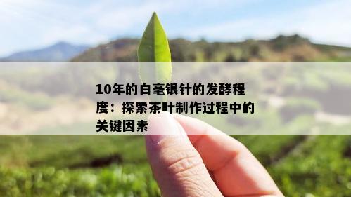 10年的白毫银针的发酵程度：探索茶叶制作过程中的关键因素