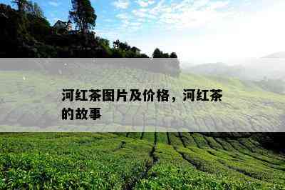 河红茶图片及价格，河红茶的故事