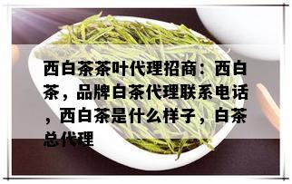 西白茶茶叶代理招商：西白茶，品牌白茶代理联系电话，西白茶是什么样子，白茶总代理