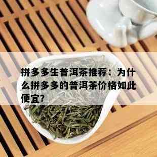 拼多多生普洱茶推荐：为什么拼多多的普洱茶价格如此便宜？