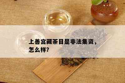 上善宫藏茶目是非法集资，怎么样？