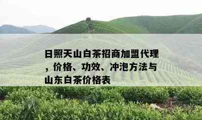 日照天山白茶招商加盟代理，价格、功效、冲泡方法与山东白茶价格表