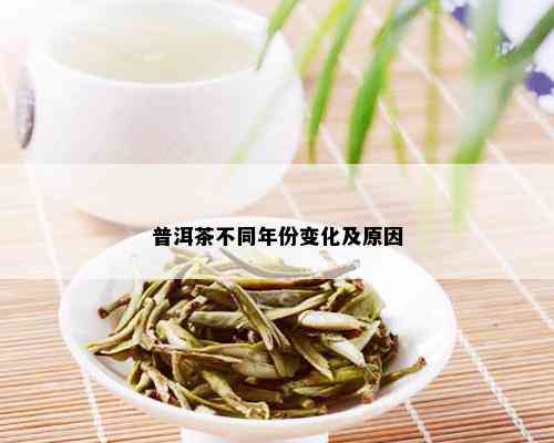 普洱茶不同年份变化及原因