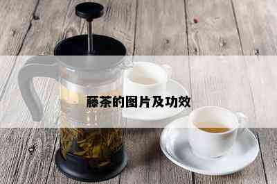 藤茶的图片及功效