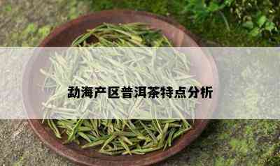 勐海产区普洱茶特点分析