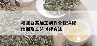 福鼎白茶加工制作全程课程培训及工艺过程方法