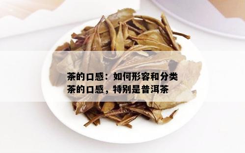 茶的口感：如何形容和分类茶的口感，特别是普洱茶