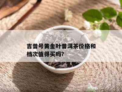 吉普号黄金叶普洱茶价格和档次值得买吗？