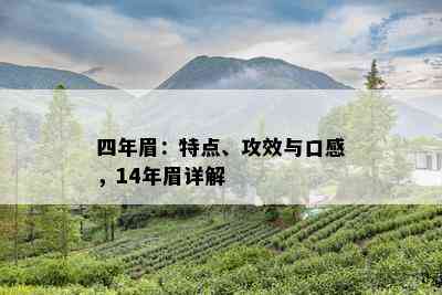 四年眉：特点、攻效与口感，14年眉详解