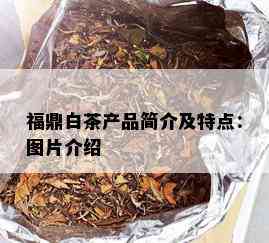 福鼎白茶产品简介及特点：图片介绍