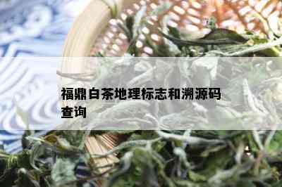 福鼎白茶地理标志和溯源码查询