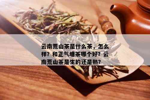 云南荒山茶是什么茶，怎么样？和正气塘茶哪个好？云南荒山茶是生的还是熟？