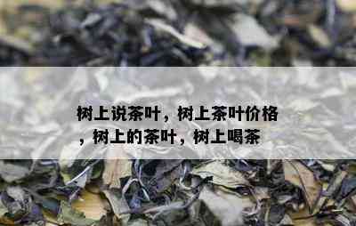 树上说茶叶，树上茶叶价格，树上的茶叶，树上喝茶