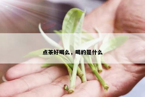 点茶好喝么，喝的是什么