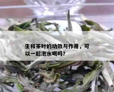 生和茶叶的功效与作用，可以一起泡水喝吗？