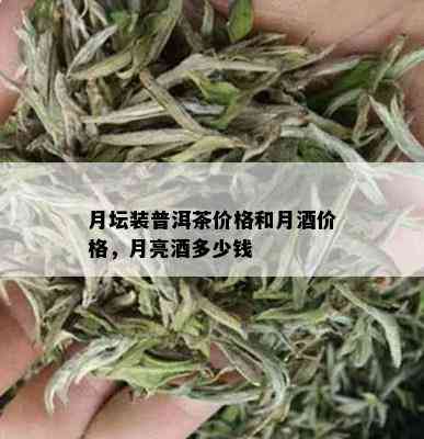 月坛装普洱茶价格和月价格，月亮多少钱