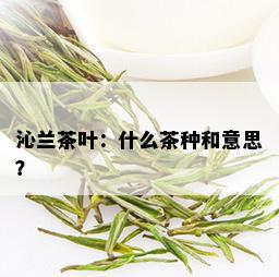 沁兰茶叶：什么茶种和意思？