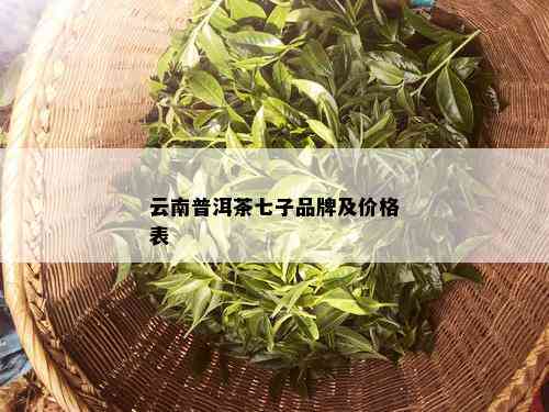 云南普洱茶七子品牌及价格表