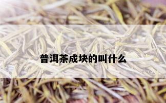 普洱茶成块的叫什么