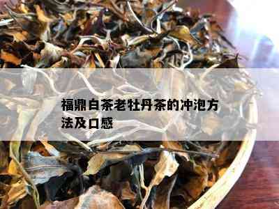 福鼎白茶老牡丹茶的冲泡方法及口感