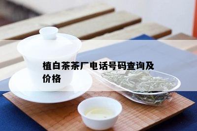 植白茶茶厂电话号码查询及价格