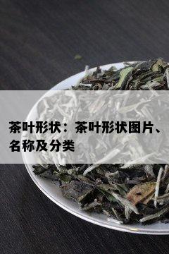 茶叶形状：茶叶形状图片、名称及分类