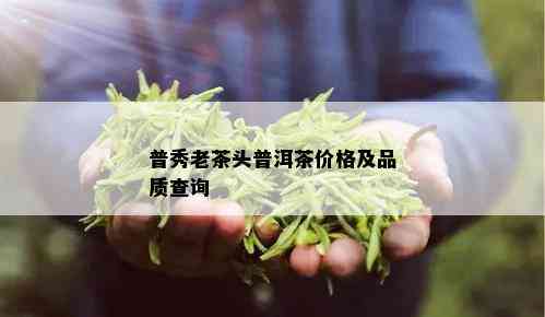 普秀老茶头普洱茶价格及品质查询