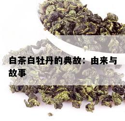 白茶白牡丹的典故：由来与故事