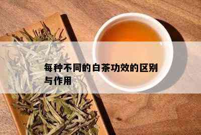 每种不同的白茶功效的区别与作用