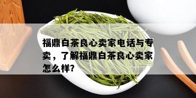 福鼎白茶良心卖家电话与专卖，了解福鼎白茶良心卖家怎么样？