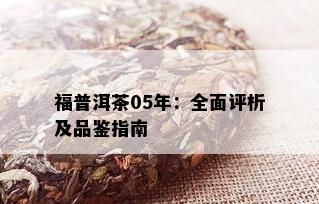 福普洱茶05年：全面评析及品鉴指南