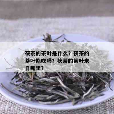 茯茶的茶叶是什么？茯茶的茶叶能吃吗？茯茶的茶叶来自哪里？