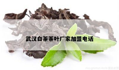 武汉白茶茶叶厂家加盟电话