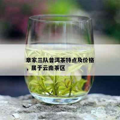 章家三队普洱茶特点及价格，属于云南茶区