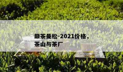 巅茶曼松-2021价格，茶山与茶厂