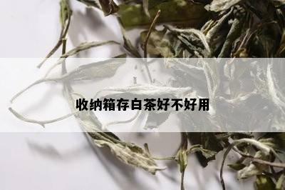 收纳箱存白茶好不好用