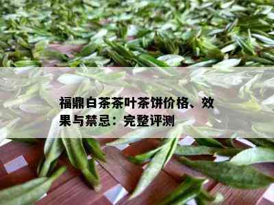 福鼎白茶茶叶茶饼价格、效果与禁忌：完整评测