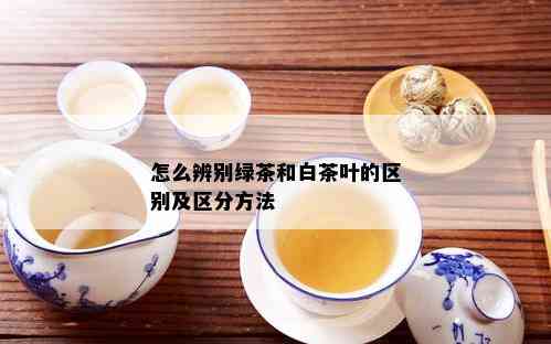 怎么辨别绿茶和白茶叶的区别及区分方法