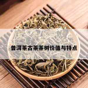 普洱茶古茶茶树价值与特点