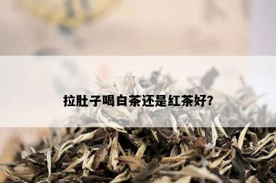 拉肚子喝白茶还是红茶好？