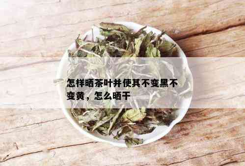 怎样晒茶叶并使其不变黑不变黄，怎么晒干